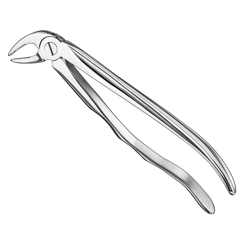 Extracting forceps, anat.