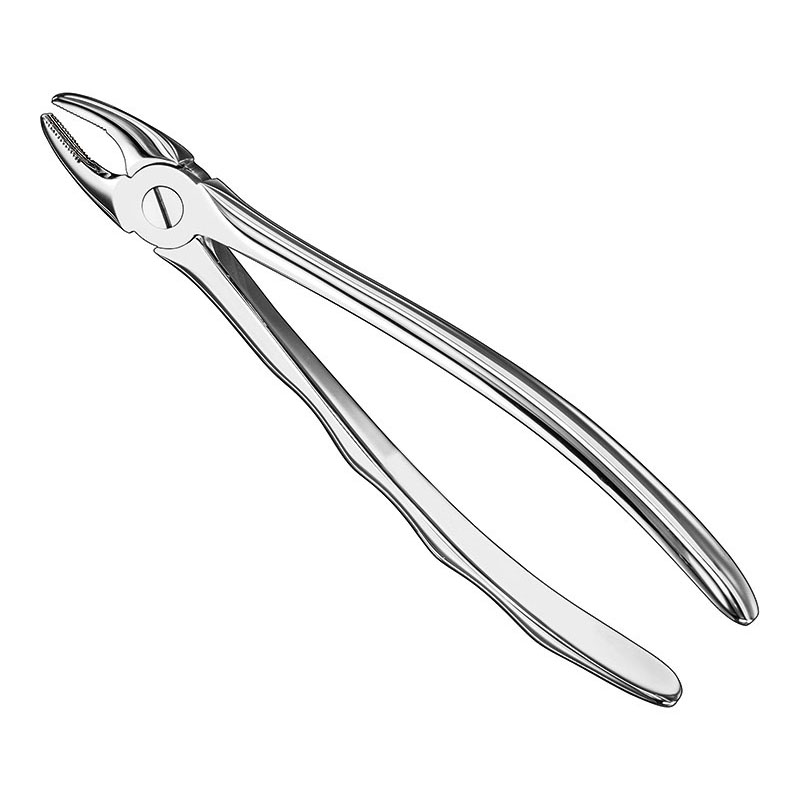 Extracting Forceps Anatomically Shaped Handle Standard