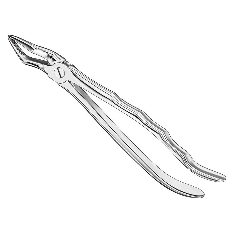 Extracting forceps, anat.