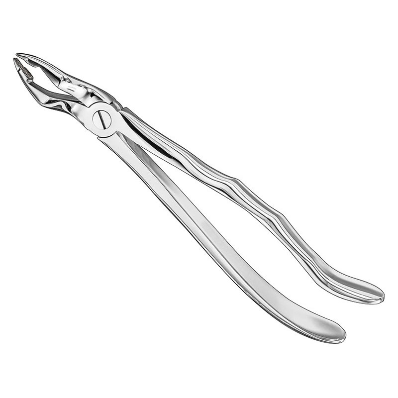 Extracting forceps, anat.