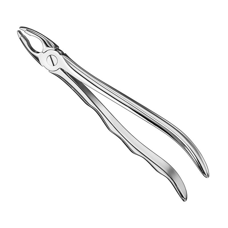 Extracting forceps, anat.