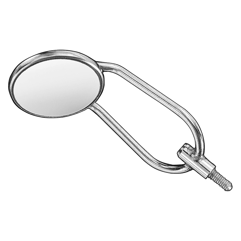 Mouth mirror/cheek retractor