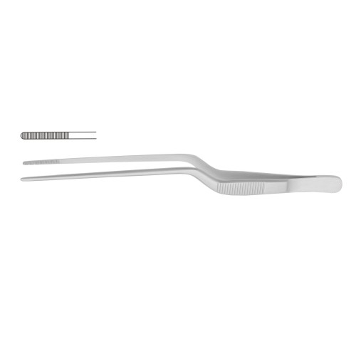 Alligator & Ear Forceps